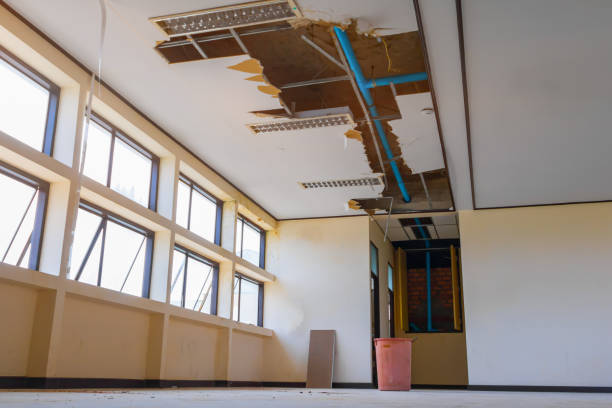 Best Emergency water damage restoration  in Fort Valley, AZ