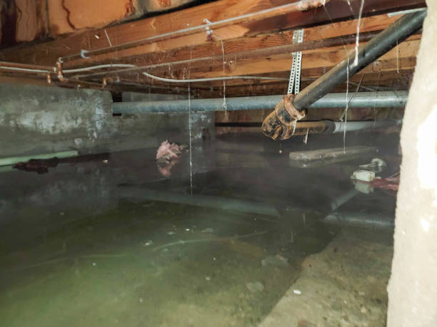 Best Water damage contractors near me  in Fort Valley, AZ