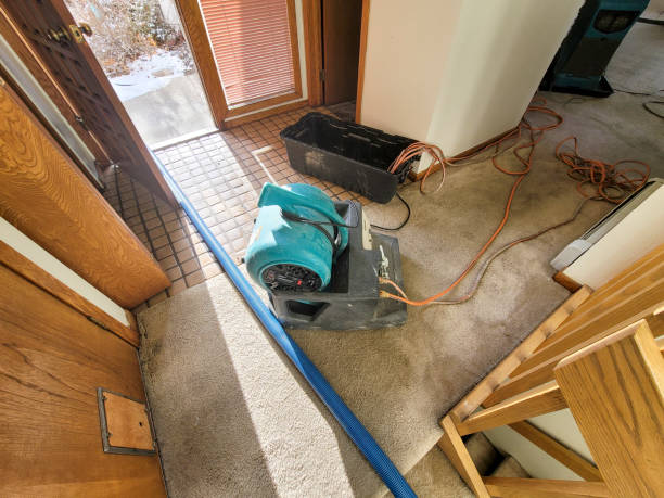 Best Professional water damage repair  in Fort Valley, AZ
