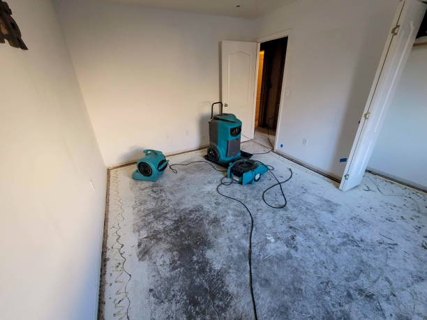 Best Water damage restoration near me  in Fort Valley, AZ