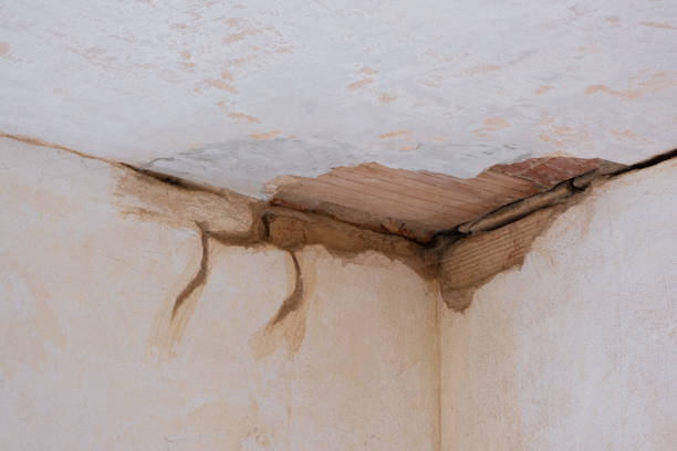 Best Flooded house restoration  in Fort Valley, AZ