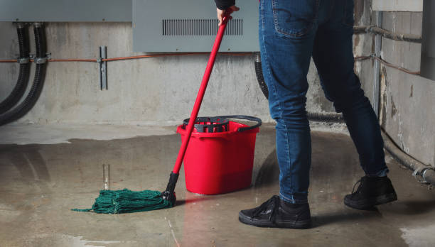 Best Flood restoration services  in Fort Valley, AZ