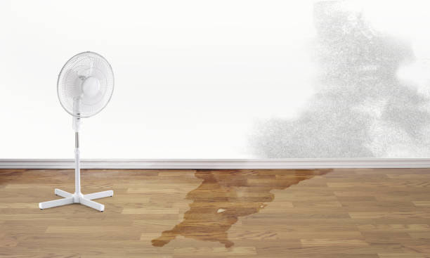 Best Fire Damage Restoration  in Fort Valley, AZ