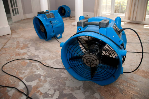 Best Local water damage restoration  in Fort Valley, AZ