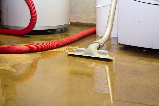 Best Sewage cleanup and water damage restoration  in Fort Valley, AZ