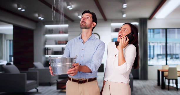 Best Water damage cleanup near me  in Fort Valley, AZ