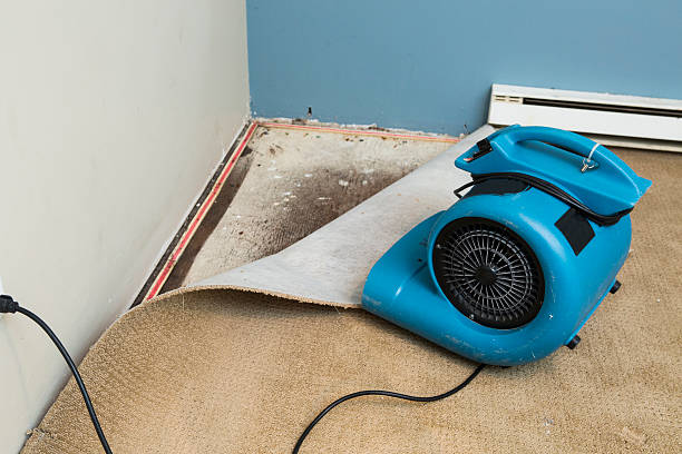 Best 24/7 water damage repair  in Fort Valley, AZ